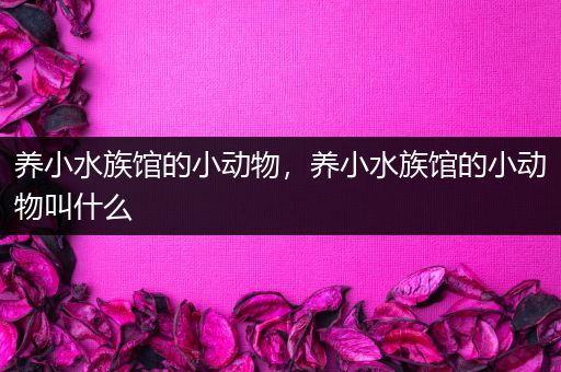 养小水族馆的小动物，养小水族馆的小动物叫什么
