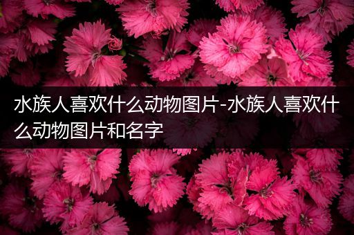 水族人喜欢什么动物图片-水族人喜欢什么动物图片和名字