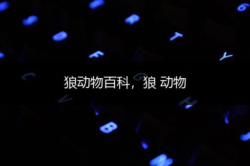 狼动物百科，狼 动物