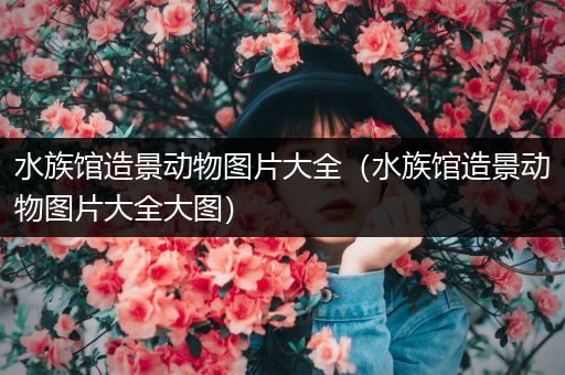 水族馆造景动物图片大全（水族馆造景动物图片大全大图）
