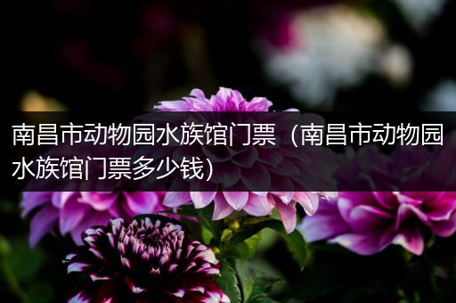 南昌市动物园水族馆门票（南昌市动物园水族馆门票多少钱）