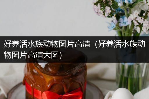 好养活水族动物图片高清（好养活水族动物图片高清大图）