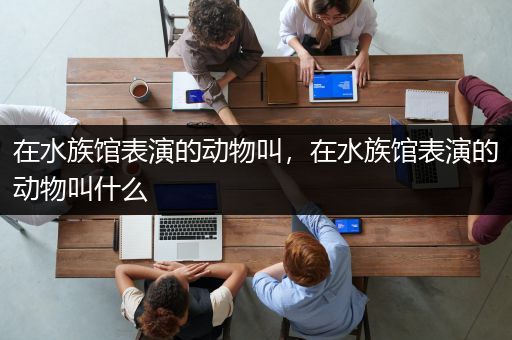 在水族馆表演的动物叫，在水族馆表演的动物叫什么