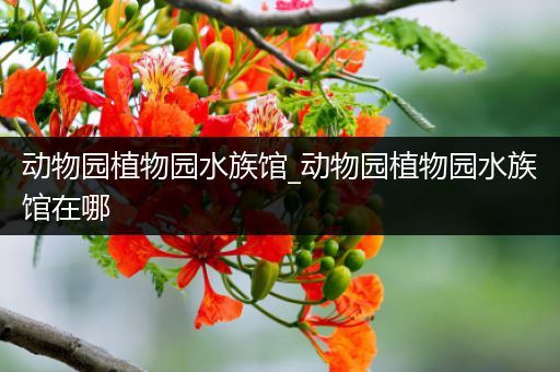 动物园植物园水族馆_动物园植物园水族馆在哪