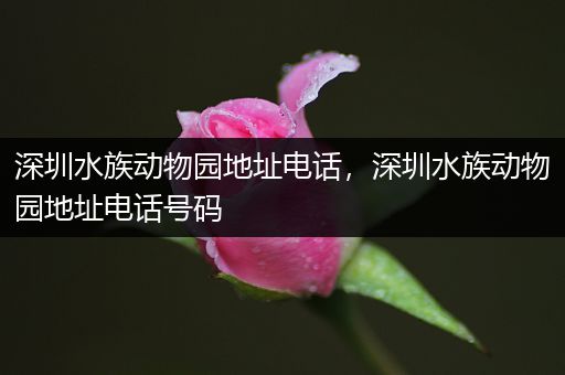 深圳水族动物园地址电话，深圳水族动物园地址电话号码