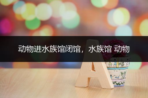 动物进水族馆闭馆，水族馆 动物