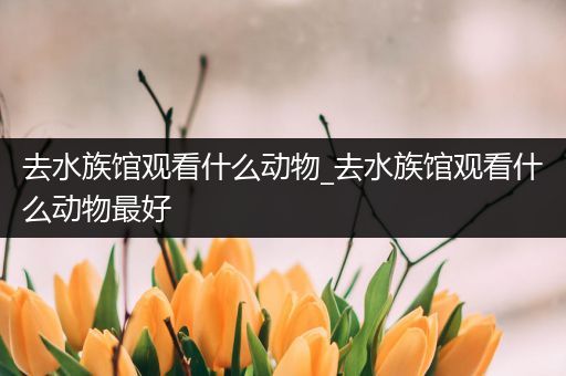 去水族馆观看什么动物_去水族馆观看什么动物最好