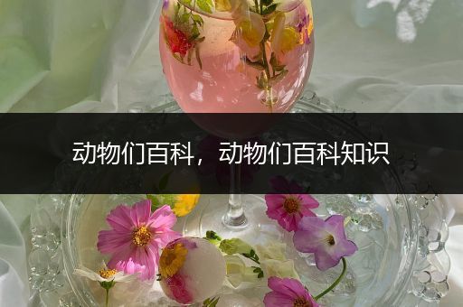 动物们百科，动物们百科知识