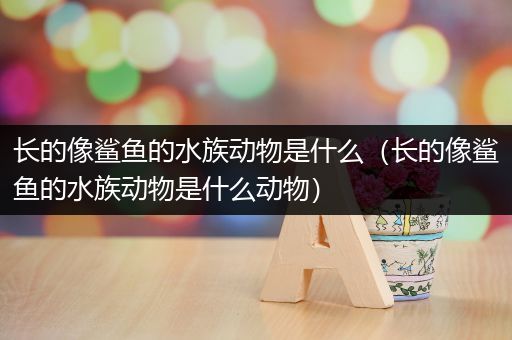 长的像鲨鱼的水族动物是什么（长的像鲨鱼的水族动物是什么动物）