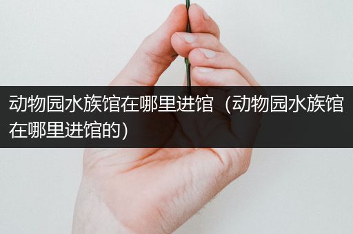 动物园水族馆在哪里进馆（动物园水族馆在哪里进馆的）