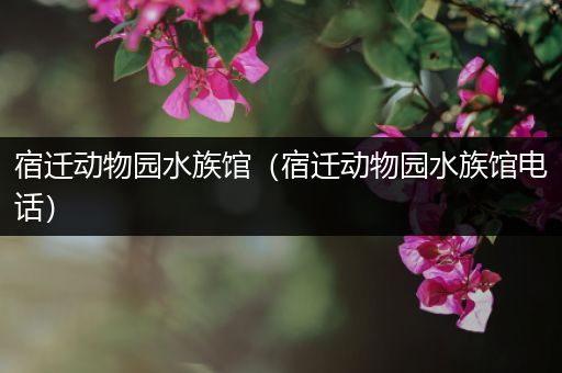 宿迁动物园水族馆（宿迁动物园水族馆电话）