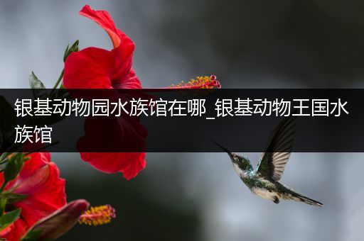 银基动物园水族馆在哪_银基动物王国水族馆