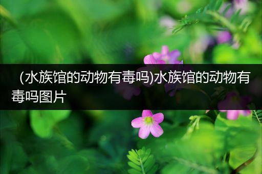 （水族馆的动物有毒吗)水族馆的动物有毒吗图片