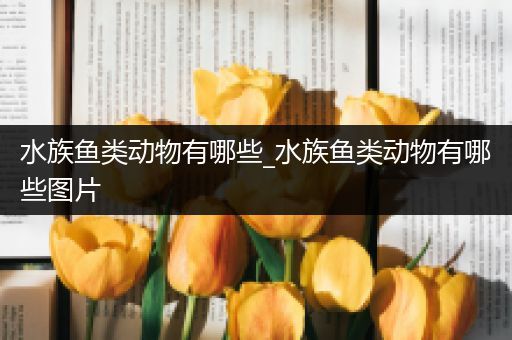 水族鱼类动物有哪些_水族鱼类动物有哪些图片
