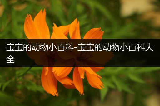 宝宝的动物小百科-宝宝的动物小百科大全
