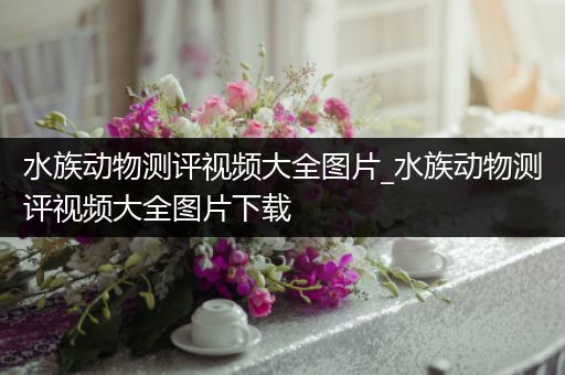 水族动物测评视频大全图片_水族动物测评视频大全图片下载