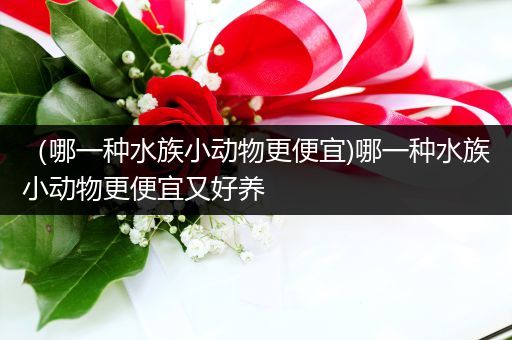 （哪一种水族小动物更便宜)哪一种水族小动物更便宜又好养