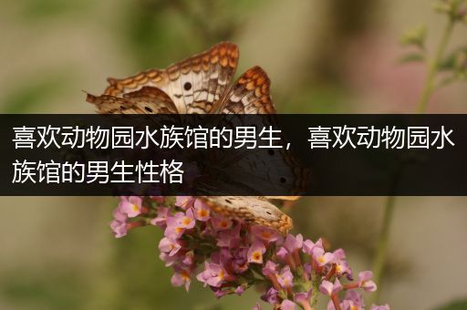 喜欢动物园水族馆的男生，喜欢动物园水族馆的男生性格