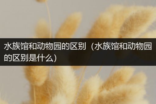 水族馆和动物园的区别（水族馆和动物园的区别是什么）