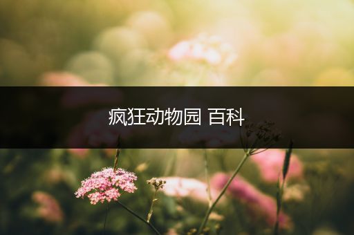 疯狂动物园 百科