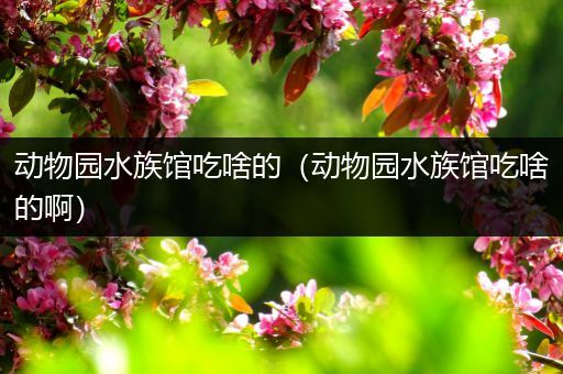 动物园水族馆吃啥的（动物园水族馆吃啥的啊）