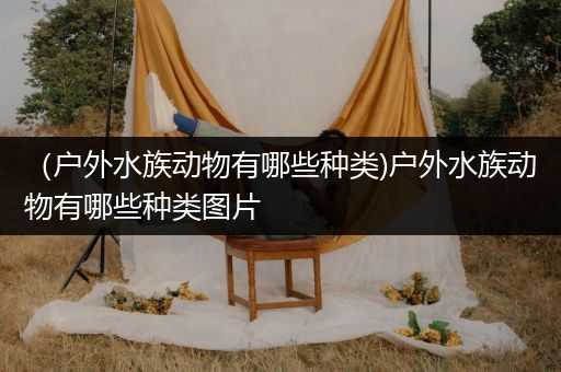 （户外水族动物有哪些种类)户外水族动物有哪些种类图片
