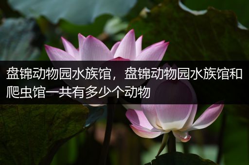 盘锦动物园水族馆，盘锦动物园水族馆和爬虫馆一共有多少个动物