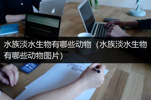 水族淡水生物有哪些动物（水族淡水生物有哪些动物图片）