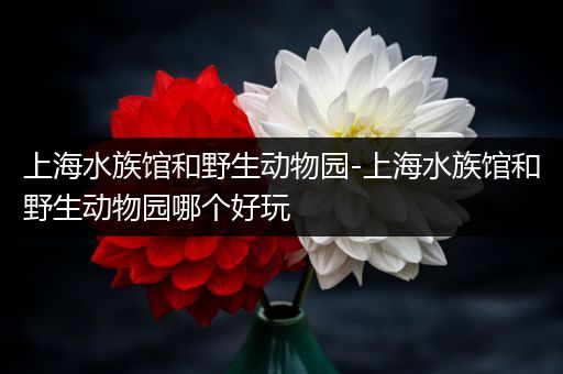 上海水族馆和野生动物园-上海水族馆和野生动物园哪个好玩