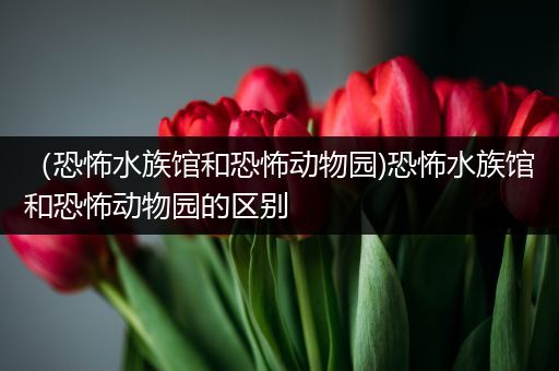 （恐怖水族馆和恐怖动物园)恐怖水族馆和恐怖动物园的区别