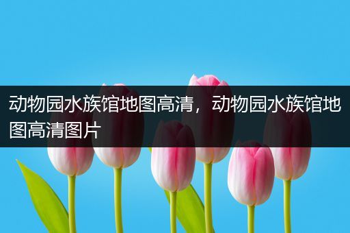 动物园水族馆地图高清，动物园水族馆地图高清图片