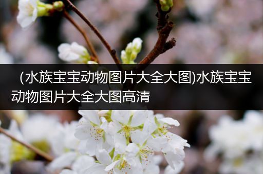 （水族宝宝动物图片大全大图)水族宝宝动物图片大全大图高清