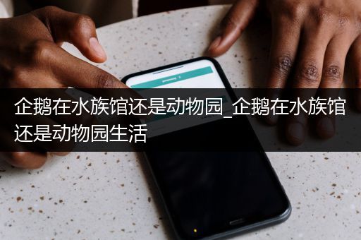 企鹅在水族馆还是动物园_企鹅在水族馆还是动物园生活