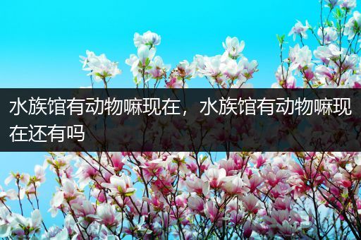 水族馆有动物嘛现在，水族馆有动物嘛现在还有吗
