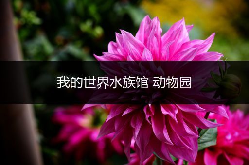我的世界水族馆 动物园