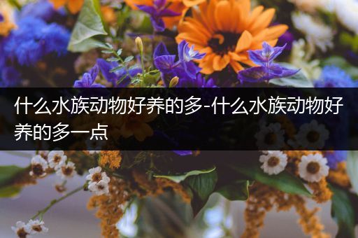 什么水族动物好养的多-什么水族动物好养的多一点