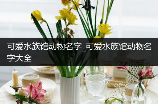 可爱水族馆动物名字_可爱水族馆动物名字大全
