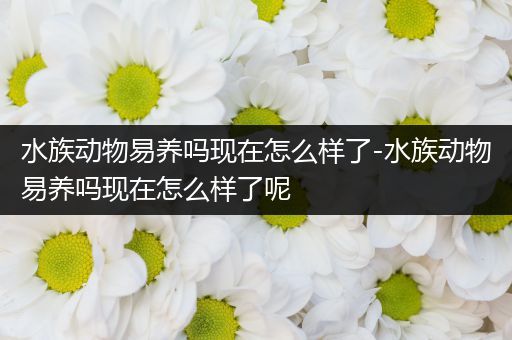 水族动物易养吗现在怎么样了-水族动物易养吗现在怎么样了呢