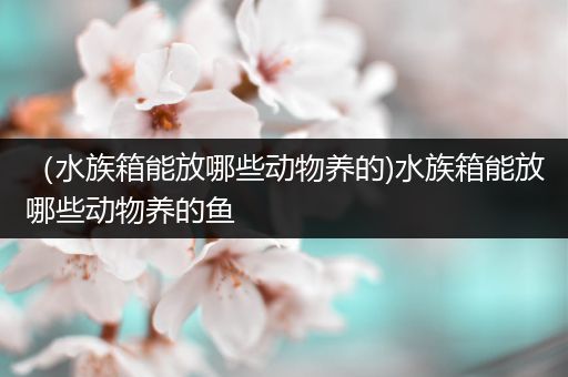（水族箱能放哪些动物养的)水族箱能放哪些动物养的鱼