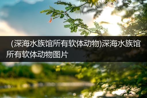 （深海水族馆所有软体动物)深海水族馆所有软体动物图片