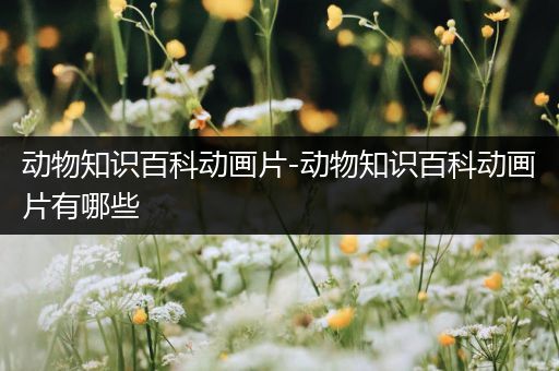 动物知识百科动画片-动物知识百科动画片有哪些