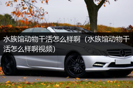 水族馆动物干活怎么样啊（水族馆动物干活怎么样啊视频）