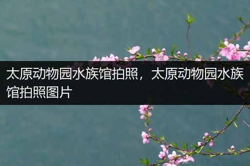 太原动物园水族馆拍照，太原动物园水族馆拍照图片