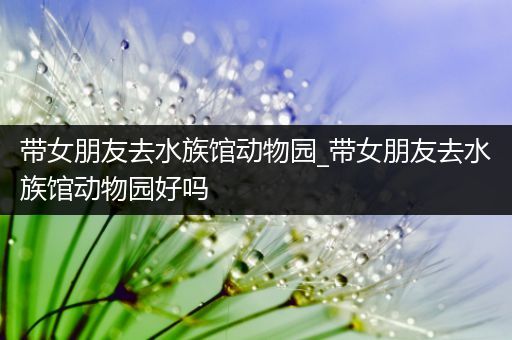 带女朋友去水族馆动物园_带女朋友去水族馆动物园好吗