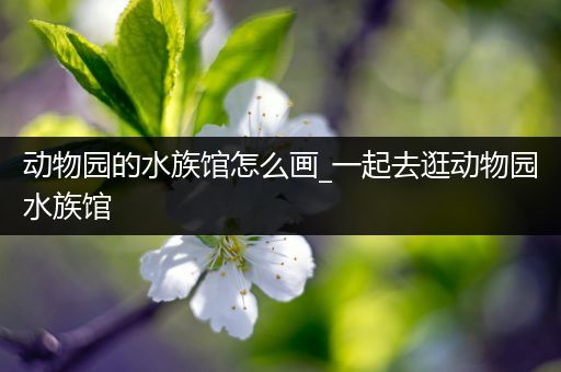 动物园的水族馆怎么画_一起去逛动物园水族馆