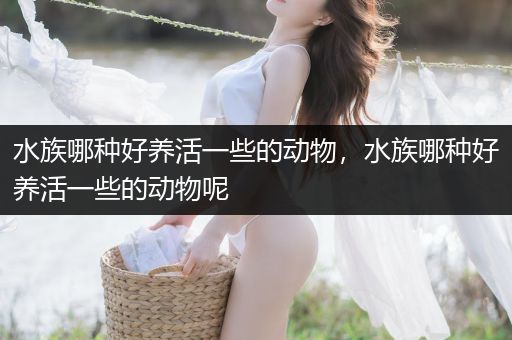 水族哪种好养活一些的动物，水族哪种好养活一些的动物呢