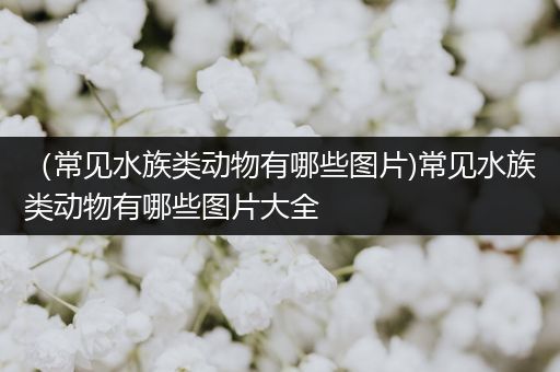 （常见水族类动物有哪些图片)常见水族类动物有哪些图片大全