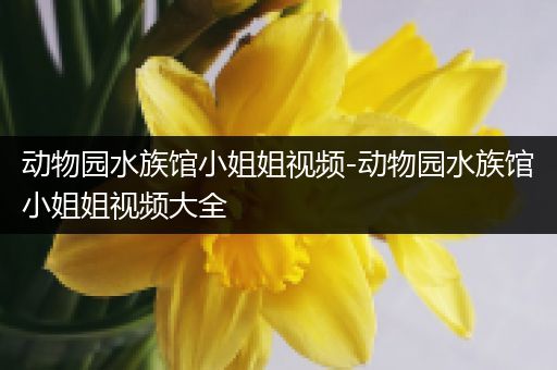 动物园水族馆小姐姐视频-动物园水族馆小姐姐视频大全