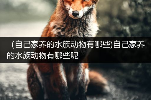 （自己家养的水族动物有哪些)自己家养的水族动物有哪些呢