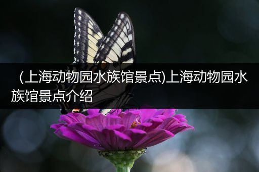 （上海动物园水族馆景点)上海动物园水族馆景点介绍